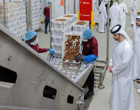 Mansoor bin Mohammed visits Al Barakah Dates Factory at Dubai Industrial City